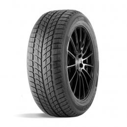 Doublestar Winterking DW09 215/55R18 95H